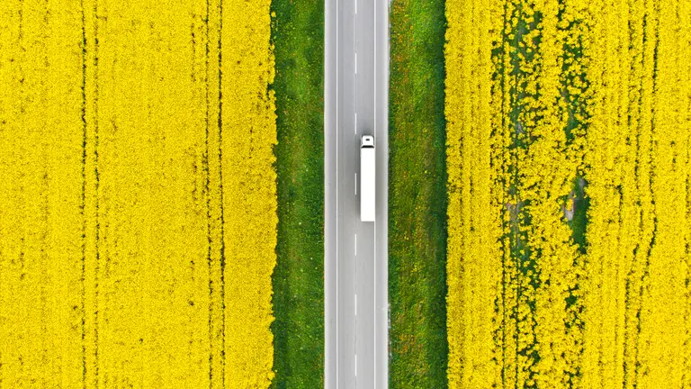 Truck in rapefield