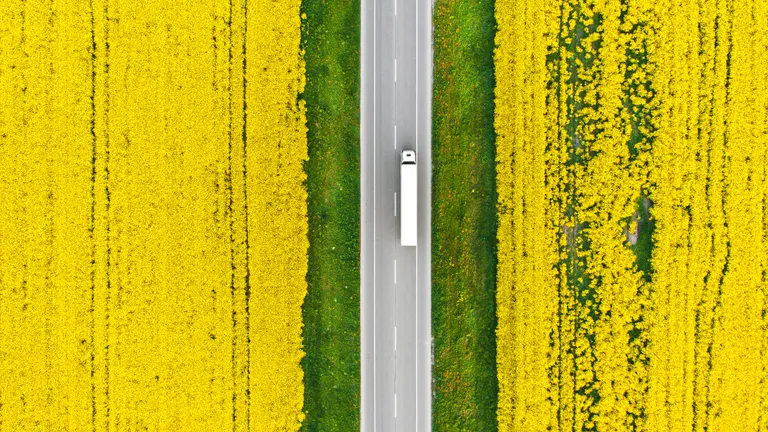 Truck in rapefield