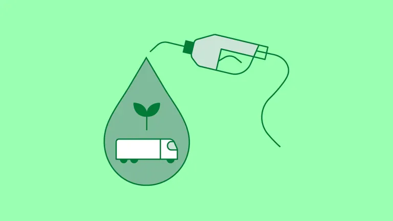 Renewable fuel