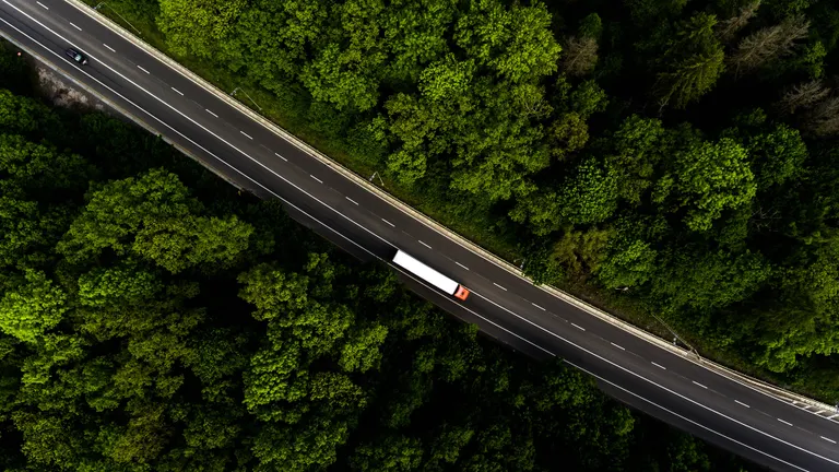 Truck in woods