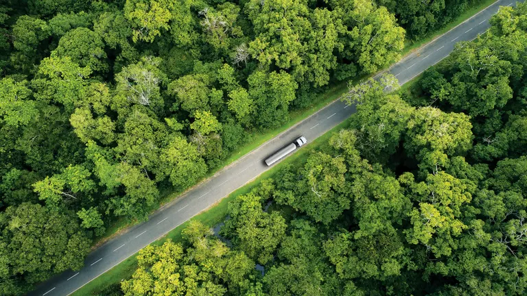 Truck in forest